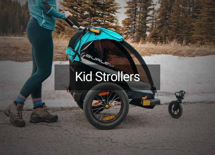 burley double stroller